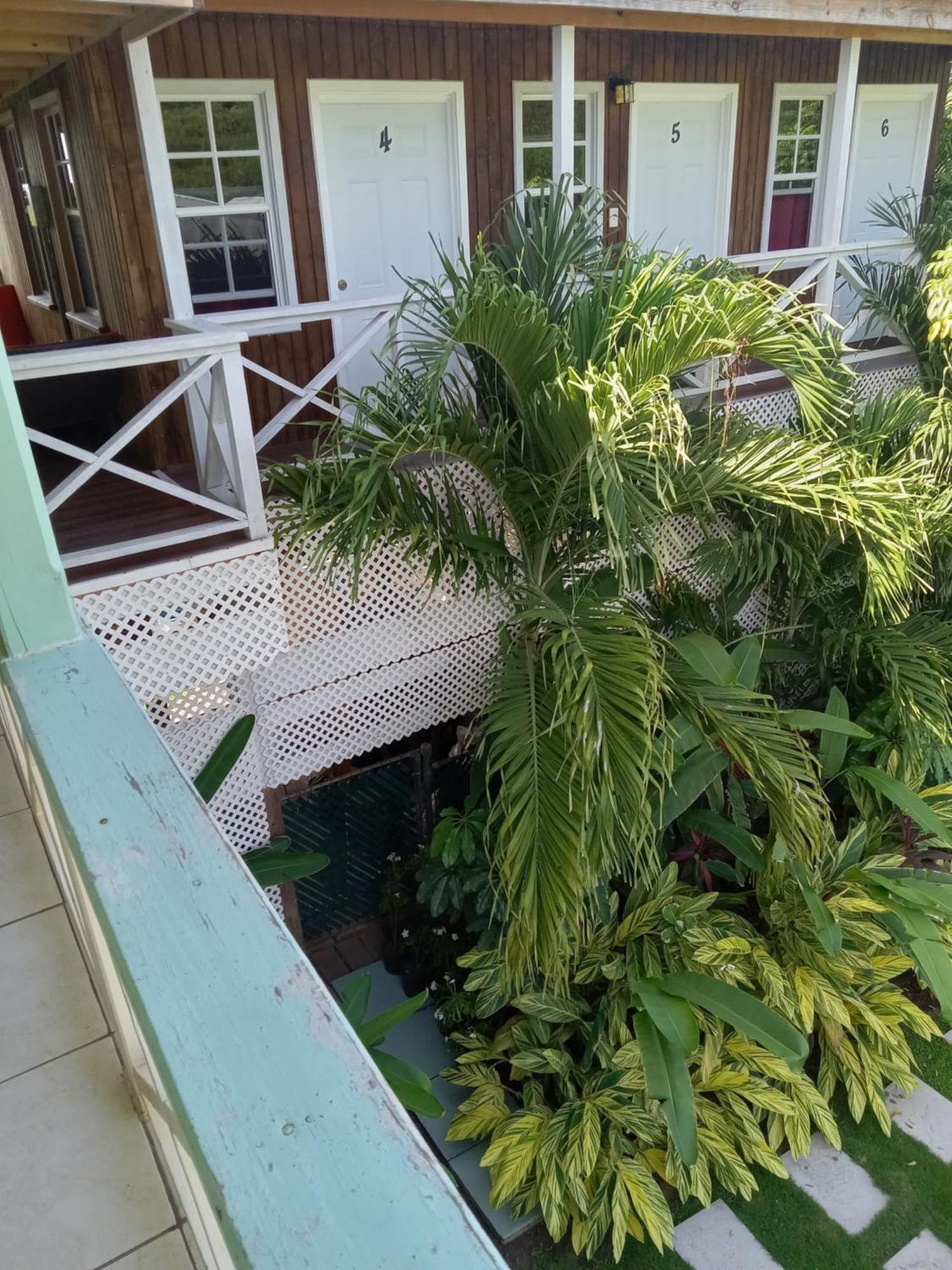 Apartment Unforgetable Gardens Falmouth Harbour Exteriör bild
